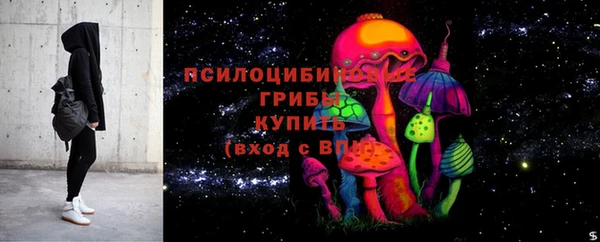 дживик Магас