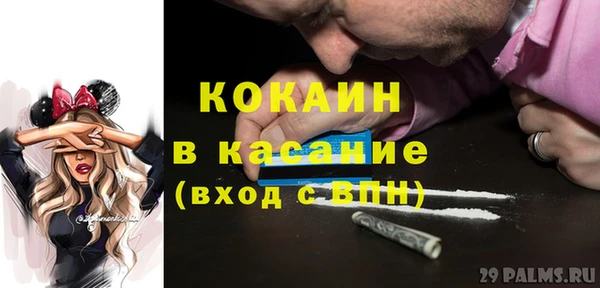 дмт Богданович