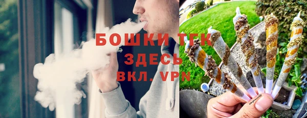 дживик Магас