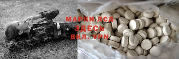дживик Магас