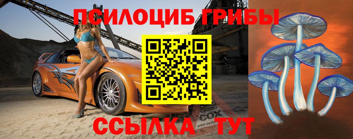 Псилоцибиновые грибы Magic Shrooms Ноябрьск