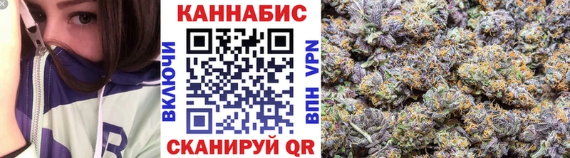 Бошки марихуана планчик  Ноябрьск 