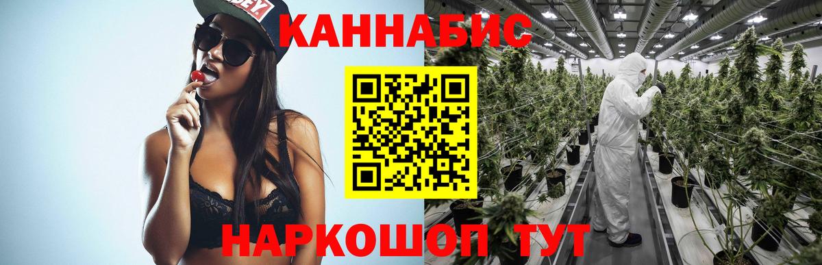 Бошки марихуана MAZAR Ноябрьск